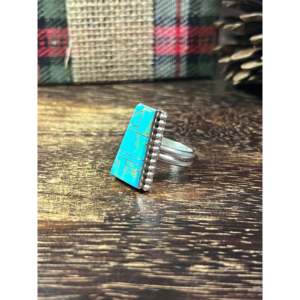Wilbert Grey Men's <b>Turquoise</b> & Sterling Silver Inlay <b>Ring</b> Size 9 - Product Image 3
