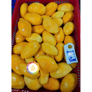 CHUNK DE MANGO CONGELADO DE VIETNAM CALIDAD PREMIUM SABOR NATURAL PRODUCTO EN VENTA PARA LA INDUSTRIA ALIMENTARIA EXPORTACION - Product Image 2