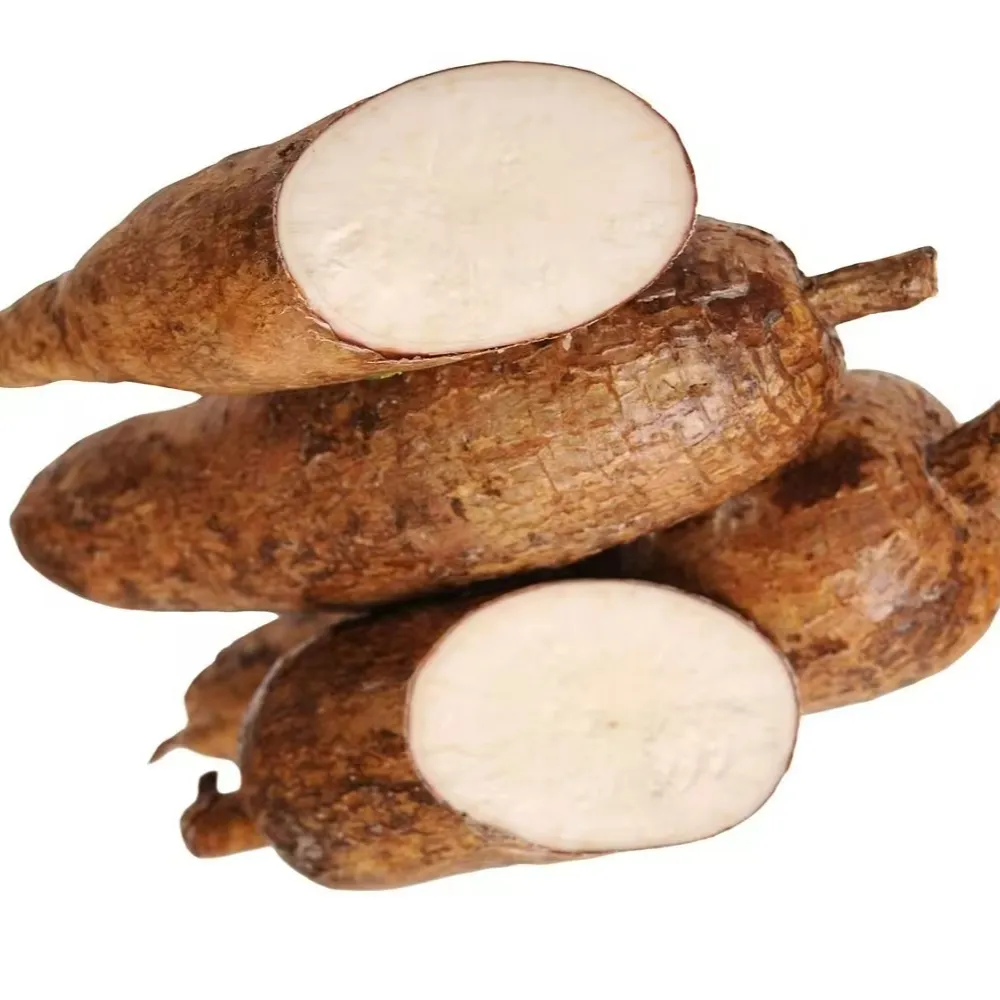 Healthy Brown Peel Cassava From Vietnam Farm Competitive Price Cassava Agriculture Product Hairy Peel