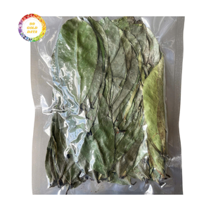 Feuilles de Graviola séchées du Vietnam, feuilles de corossol en vrac, export, fournisseur commercial de feuilles de corossol séchées - Product Image 2