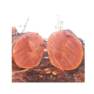 Troncos de Madera de Eucalipto de Alta Calidad en Existencia, 100% Madera de Roble Cruda Redonda, Mejores Precios y Entrega Rápida al por Mayor - Product Image 5