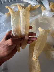 MAW DE POISSON SÉCHÉ NATUREL POUR SOUPE QUALITÉ SUPÉRIEURE PRÊT À EXPORTER EN VRAC - Product Image 3