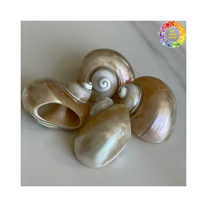 Ensemble de fourchette à cuillère en nacre vietnamienne: fourchette à cuillère en nacre fabriquée à la main pour la gastronomie marché international de gros - Product Image 6