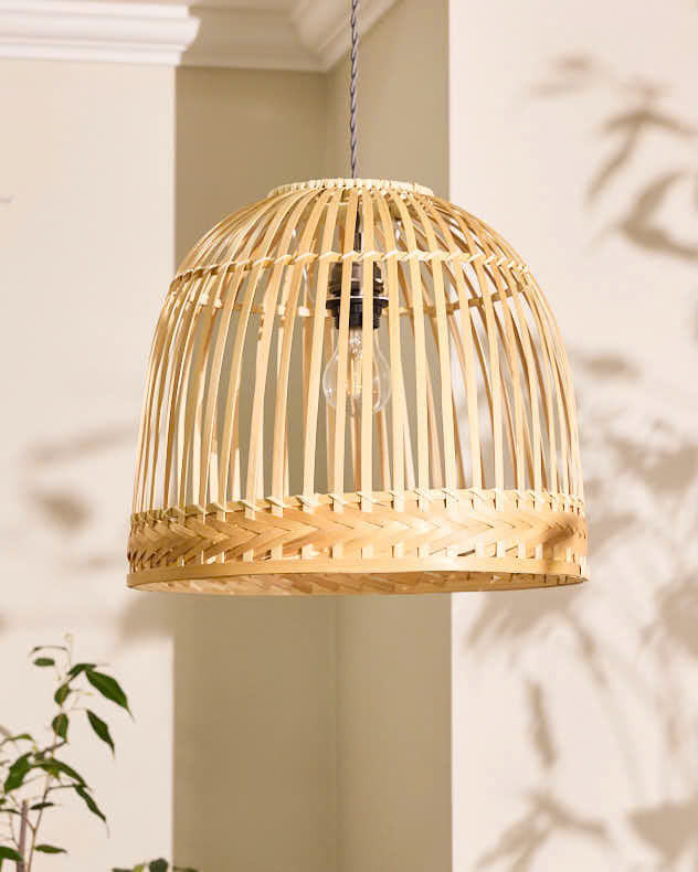 สีธรรมชาติ