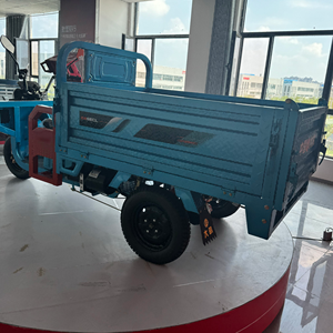 Triciclo Eléctrico de Alta Calidad para Transporte de Pasajeros en Sudáfrica e <span class=keywords><strong>India</strong></span>, Triciclo Eléctrico de 3 Ruedas para Viajes Urbanos para Adultos - Product Image 6