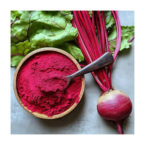 Poudre de betterave adaptée à l'industrie alimentaire et aux cuisines commerciales en provenance d'Inde - Product Image 2