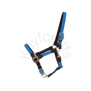 Licou en cuir tressé en nylon bleu marine avec raccords ajustables dorés - Product Image 1