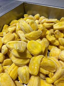 PRECIO COMPETITIVO: JACKFRUIT FRESCO/JACKFRUIT CONGELADO, LAS MEJORES VENTAS AL POR MAYOR, ALTA CALIDAD DE FÁBRICA VIETNAM. - Product Image 1