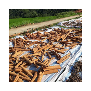 Épices de cassia crues style séché Cannelle naturelle pure de haute qualité/Bâton de cannelle de haute qualité/Cannelle de tabac - Product Image 1