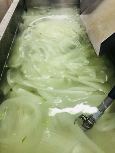 Vente en gros de dés d'aloe vera frais et naturels/cube d'aloe vera/morceaux de pulpe d'aloe vera pour boisson au jus - Product Image 6