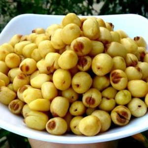 Bán nóng trên hạt giống lutus phát triển thiên đường của riêng bạn với Hạt giống chất lượng của chúng tôi có được của bạn ngày hôm nay - Product Image 2