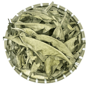 FEUILLES DE CLEISTOCALYX OPERCULATUS SÉCHÉES POUR LE THÉ ET LES INFUSIONS NATURELLES - Product Image 2