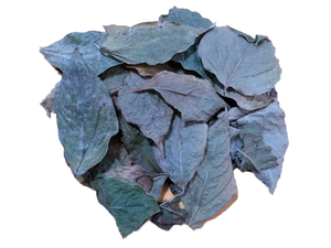 Peru guayusa lá chiết xuất bột năng lượng trà bán chạy nhất ilex guayusa - Product Image 5