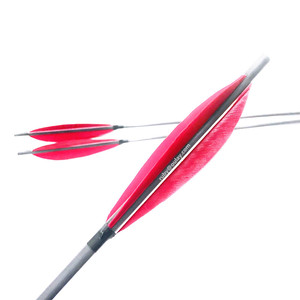 ลูกธนูคาร์บอนแท้สำหรับฝึกซ้อมยิงธนู ขนาด 0.006 นิ้ว ขนนกแบบกล้วย - Product Image 1