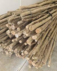 Différentes tailles de pieux en bois d'eucalyptus utilisés dans les fournitures de construction et de jardin - Product Image 3