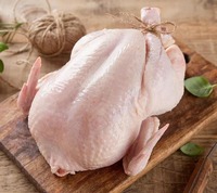 Pollo Entero Congelado Halal, Proceso BQF, Grado de Exportación, Empaque a Granel, Calidad Grado A, Vitaminas, Origen Brasil, 12 Meses de Vida Útil