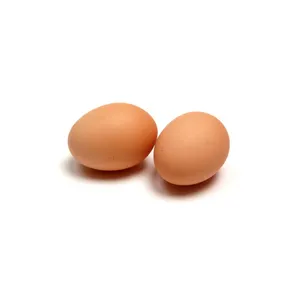โต๊ะอินทรีย์ฟาร์มไข่ไก่สดเปลือกสีขาวไก่ไข่ฟัก - Product Image 5
