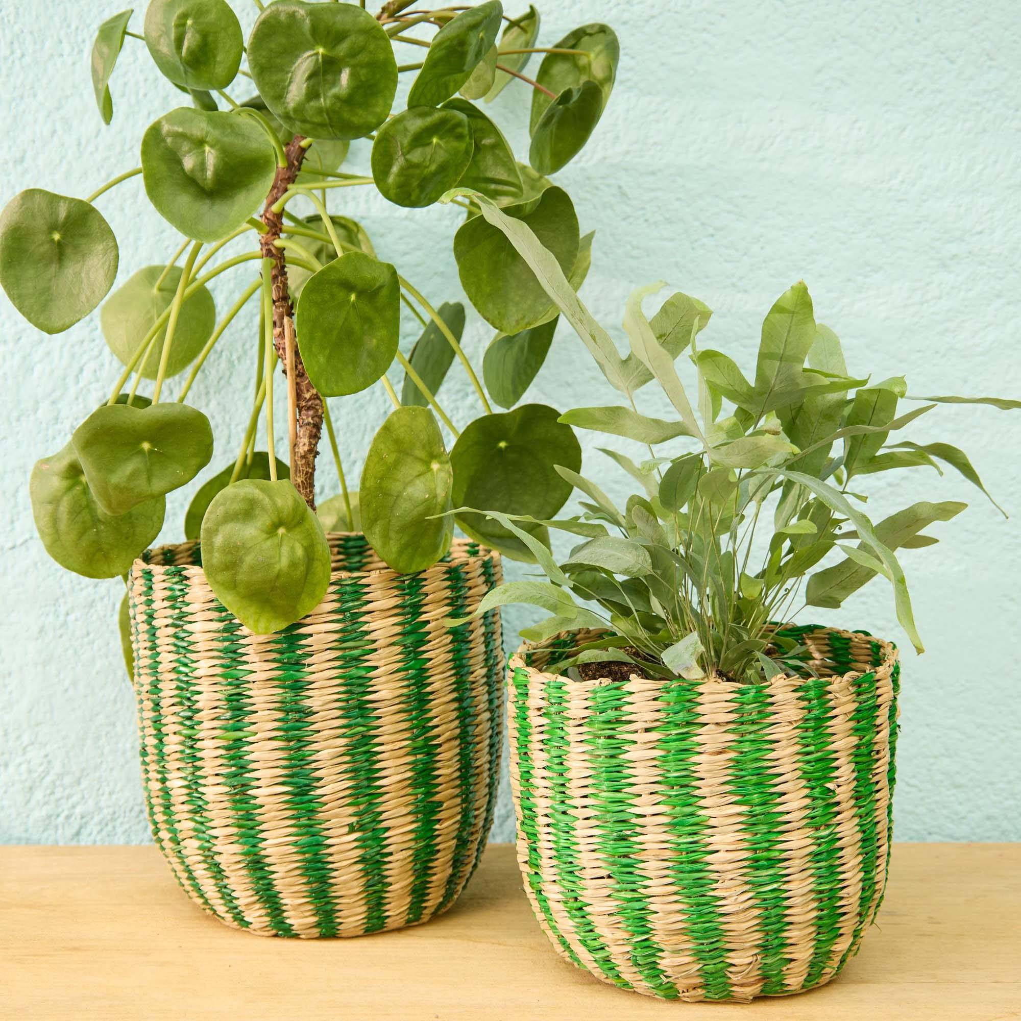 ธรรมชาติ