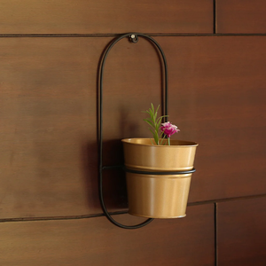 Jardinières suspendues en métal doré et fer Ensemble de design rond Décoration de la maison Jardin Balcon Chambre Utilisation polyvalente de pots de fleurs - Product Image 6