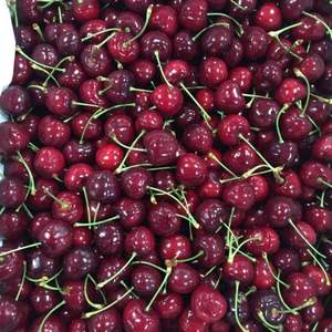Cerises rouges de première qualité, classe I |   Texture ferme et Brix élevé (18%+ ) |   Récolte fraîche 2026 pour l'exportation - Product Image 2