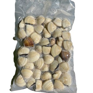 Almejas Enteras Congeladas de Vietnam, Calidad de Exportación, IQF, Envasadas al Vacío, Cocidas, Naturales, Suministro a Granel, 24 Meses de Duración - Product Image 6