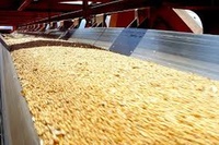 Bande transporteuse industrielle en caoutchouc résistante à l'huile, réglable, neuve, 3 plis, épaisseur 8 mm, entièrement personnalisable, pour environnements riches en graisse