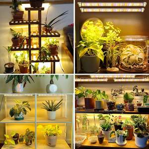 Plants de serre Hydroponique Urban Farmers Intérieur Sun-Class LED Grow Light Dimmable Brightness Full Spectrum Strip Plant Lamp - Product Image 4