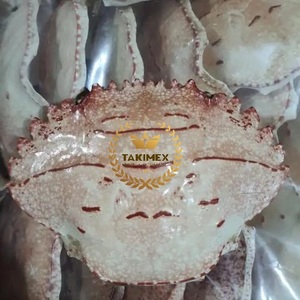 Concha de cangrejo de mar seca de alta calidad para decoración de Vietnam con precio competitivo-Venta al por mayor lista en stock - Product Image 3