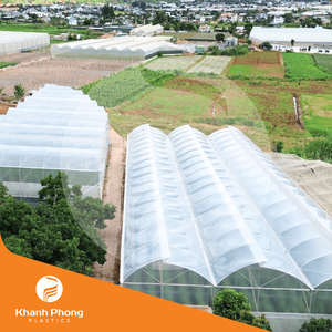 Greenhouse Film for General Crop Cultivation Uniform <b>light</b> diffusion reduces <b>leaf</b> burn and ensures more uniform development - Product Image 4