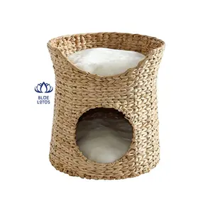 Jacinto de agua para mascotas, casa - Product Image 1