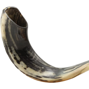 Cuernos de soplado grabados bonitos hechos a medida, ideales para funciones religiosas y eventos tribales adecuados para reventa - Product Image 1