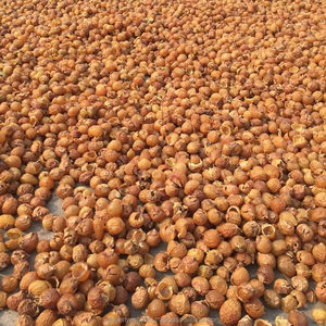 Fabricante de Reetha en polvo de fruta en polvo de la India - Product Image 1