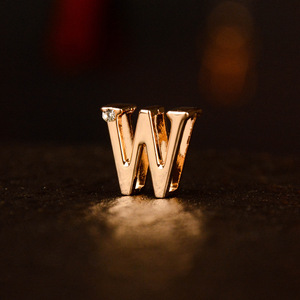 DIY özel kadınlar ve erkekler Diamonds ile altın gül alfabe Premium siyah çelik boyun köpek çevre dostu inek deri yaka Sm askı - Product Image 4