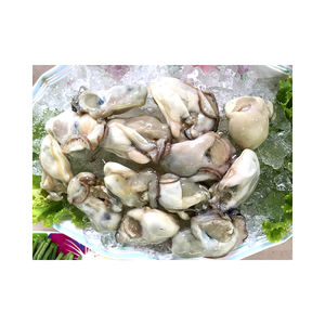 Carne de ostra japonesa de origen industrial disponible para demanda a granel continua - Product Image 6