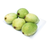 Kemasan dalam kotak mangga segar menjual dalam jumlah besar mangga dari pertanian VIETNAM panen baru