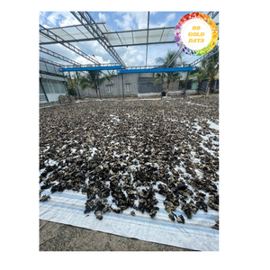 Champignon noir séché en gros Champignon d'oreille en bois naturel du Vietnam pour la cuisine et l'industrie alimentaire - Product Image 6