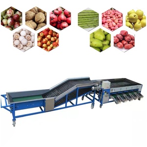 Automatic Fruit and Vegetable Roller Grading <b>Machine</b> for Food <b>Processing</b> Plant - Product Image 1
