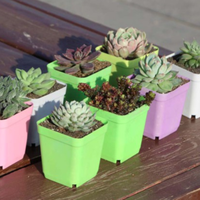 Vente en gros Prix compétitif Mini Pots de plantes Pots de plantes carrés Personnalisation du fabricant Vietnam
