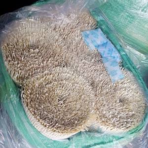 สายรัดหวายทำจากหวายธรรมชาติวัสดุสานแบบม้วน - Product Image 5