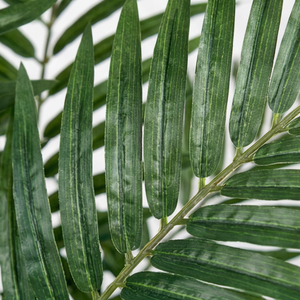 Planta Artificial de Palma Kentia en Maceta - Product Image 5