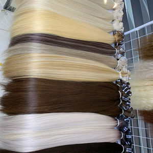 Extensiones de Cabello con Trama de Máquina, Colores Piano, Textura Lisa Natural y Ondulada Natural, Cabello Humano Virgen Vietnamita - Product Image 1