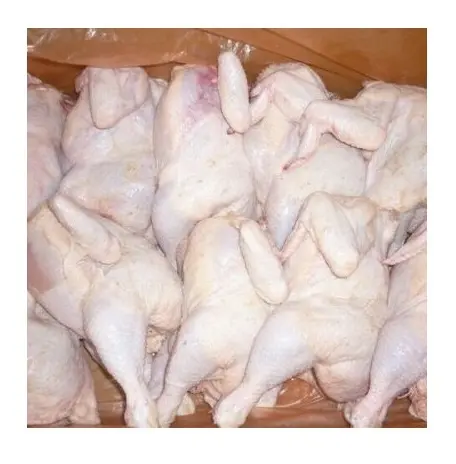 Un pollo intero e un pollo HALAL congelati taglia il premio di qualità fresca del petto per l'esportazione