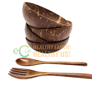 ชามกะลามะพร้าวธรรมชาติเป็นมิตรกับสิ่งแวดล้อมพร้อมช้อนชุดโลโก้ออกแบบได้ตามต้องการ - Product Image 1