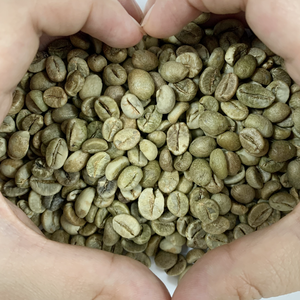 เมล็ดกาแฟสีเขียวโรบัสต้า S18เวียดนามข้อเสนอสำหรับอาราบิก้าหลากหลายชนิด - Product Image 5