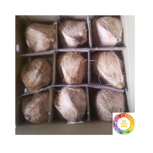 มะพร้าวกึ่งเปลือกมะพร้าวเกรดส่งออกที่อุดมไปด้วยน้ำมะพร้าวเปลือกสะอาดเหมาะสำหรับการทำอาหารน้ำผลไม้และผลิตภัณฑ์จากมะพร้าว - Product Image 1