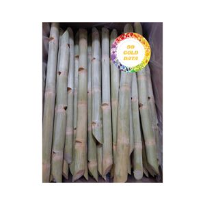 BÂTONS DE CANNE À SUCRE CONGELÉS IQF DU VIETNAM TROPICAL POUR LA FABRICATION DE JUS DE BOISSON ET À DES FINS DE RESTAURATION - Product Image 2