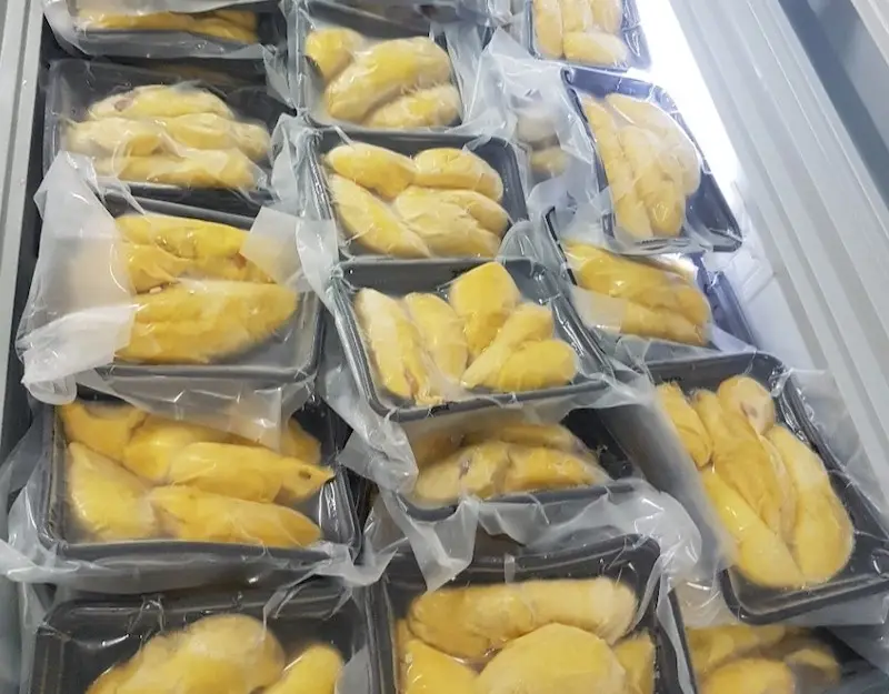 Produto de venda quente e salgadinhos de frutas Durian de alta qualidade da fábrica de Durian congelada no Vietnã