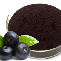 Groothandel Hot Selling Voedingsmiddelkwaliteit Acai-bes Fruitextract Poeder Natuurlijk Sap Wateroplosbare Anthocyanen Trommelverpakking