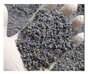 Flores de lavanda secas de Vietnam para manualidades perfumadas, uso de té, capullos de lavanda secos seleccionados a mano para relajación, decoración de boda - Product Image 1