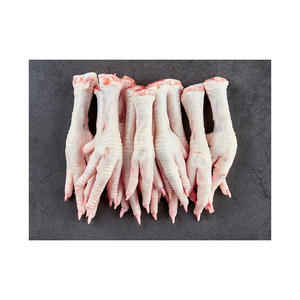 Patas de pollo de primera calidad en venta, ideales para la fabricación y procesamiento de alimentos para mascotas. - Product Image 1